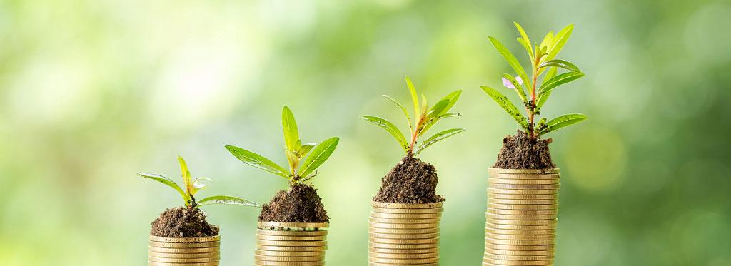 Cuatro pilas de monedas con brotes de plantas fondo borroso de naturaleza