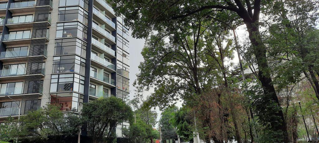 Vista entre árboles del edificio de departamentos Valverde 60